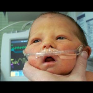 Meet your Posher, Frank